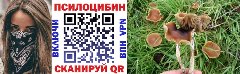Псилоцибиновые грибы ЛСД  Нахабино 